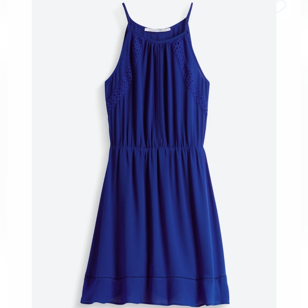 Collective Concepts Vibrant Blue Dress